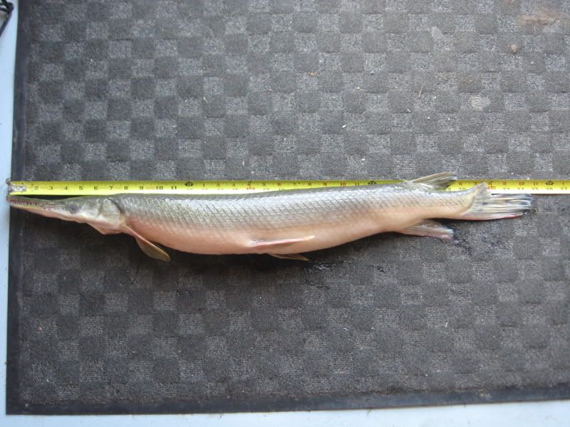 New Nebraska State Record and World Record Fish! Hunting Nebraska